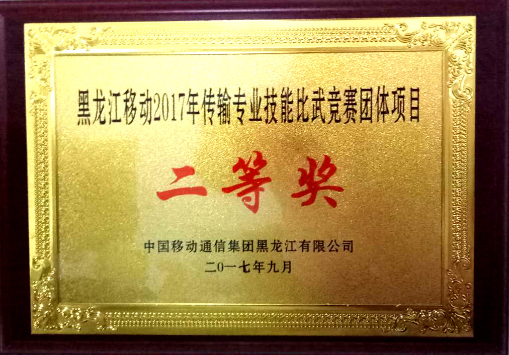 黑龍江移動(dòng)2017年傳輸專業(yè)技能比武一、二等獎(jiǎng)